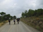 CIMG0769.JPG