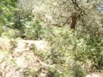 IMGP0082 (Copiar).JPG