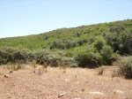 IMGP0083 (Copiar).JPG