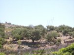 IMGP0096 (Copiar).JPG