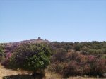 IMGP0099 (Copiar).JPG