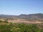 IMGP0115 (Copiar).JPG