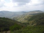 CIMG0801.JPG