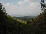 CIMG0812.JPG