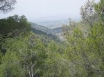 CIMG0819.JPG