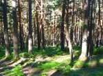 Foto6.JPG