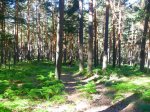 Foto9.JPG