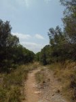 CIMG1776 (Copiar).JPG