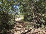 DSCN0650.JPG