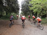 DSC01550.JPG