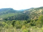 Foto0518.jpg