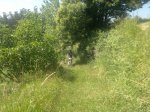 230620121168.jpg