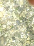 230620121174.jpg