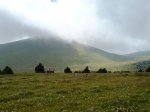 DSC08728.JPG