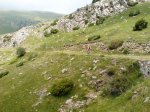 DSC08736.JPG