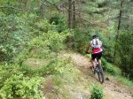 DSC08754.JPG