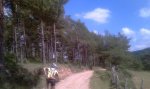 IMAG0305.jpg