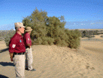 MedioambientelGC.gif