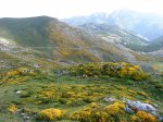 DSC06582.JPG