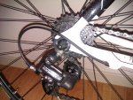IMAG0108.jpg