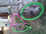 2012-02-15 17.43.39.jpg