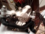2012-05-04 11.36.10.jpg