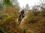 DSCN3376.jpg