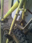 IMG_20120711_111446.jpg