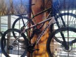 Flash29ercarbon3-2013.jpg