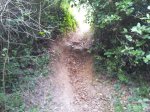 20120711_201123.jpg