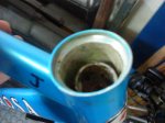 DSC06481.JPG