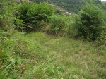 IMG_3865.JPG
