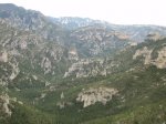 DSC00831 (Copiar).JPG