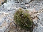 DSC00833 (Copiar).JPG