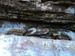 DSC00846 (Copiar).JPG