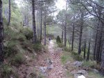 DSC00852 (Copiar).JPG