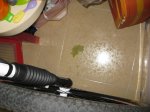 IMG_7982.JPG
