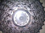 IMAG0170.jpg