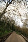 IMG_1536ok2.JPG