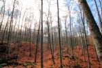 IMG_8451ok.JPG