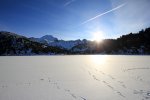 IMG_8649ok.JPG