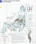 extension-rodilla.jpg