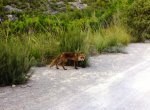 CameraZOOM-20120711192356902.jpg
