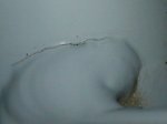 IMG-20120706-WA0002.jpg