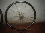 DSC00045.JPG