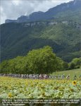tdf12st12-pelobig.jpg