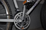 resized_DSC_7799.jpg