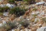 Tormos8.jpg