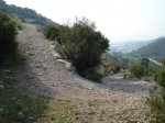 camara 008 (Medium).jpg