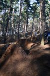 chicksands0307_01.jpg